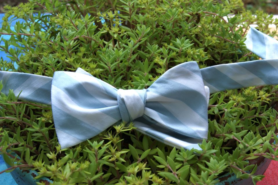 blue and white stripe bow tie